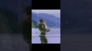 Monkey vibing to turbo music #shorts