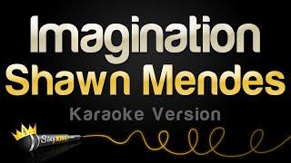 Shawn Mendes - Imagination (Karaoke Version)