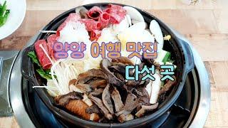 [ENG] 여행 중 들린 양양 맛집 다섯 곳, 송이버섯전골, 막국수, 감자옹심이, 감자전, 파스타, 생대구탕 | Korea Yangyang Travel, Korean food