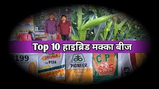 Top-10 Maize Variety | बरसाती मक्का का  जबरदस्त 10 किस्म |