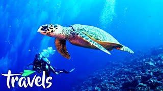 The Most Beautiful Diving Destinations in the World!