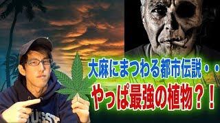 大麻にまつわる都市伝説！神の草？！（ちょい下ネタあり）