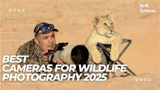 Best Cameras for Wildlife Photography 2025  Capture Breathtaking Wildlife Shots