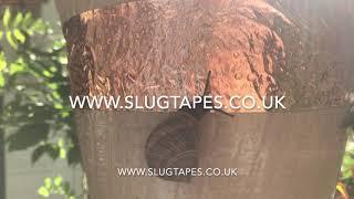 Does Copper Tape Work Against Slugs & Snails?