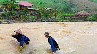 Sang Vy Farm is at risk of being wiped out due to storm YAGI, Flooded Garden, Natural Disaster