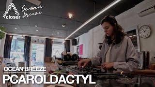 PCAROLDACTYL | CLOSER RECORD STORE | DJ Sessions | Jazz, Soul, Disco, Funk