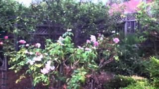 iPod Touch 4G HD 720p Video Test