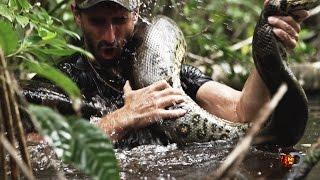 Eaten Alive Sneak Peek | Sun Dec 7 9/8c on Discovery