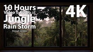 4K HDR 10 hours - Jungle Rain Storm - relaxation, calming, ambient, mindfulness