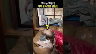 효녀는 효년데 이제 불속성을 곁들인