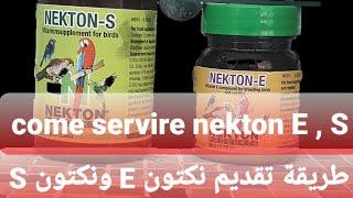 كيفية تقديم نكتون e ونكتون s  || come servire nekton E è nekton S