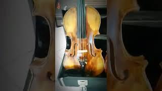 #violino #stradivarius #guarneri #luthier #oficina #ccb