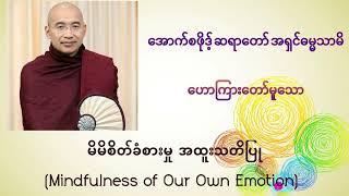 Mindfulness of Our Own Emotion မိမိစိတ်ခံစားမှု အထူးသတိပြု - Oxfordဆရာတော် အရှင်ဓမ္မသာမိ