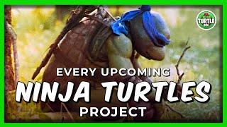 Every Upcoming Teenage Mutant Ninja Turtles Project!