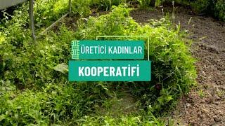 ÜRETİCİ KADINLAR KOOPERATİFİ