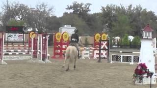 Steal the Sunshine: Level 1 Jumpers at HITS Ocala