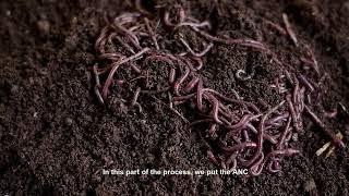 How to Produce Large Scale Vermicast