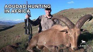 Aoudad Hunting in Africa - An Unexpected Treasure of the East Cape | John X Safaris