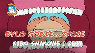 Bylo Sobie... Zycie  - Kubki smakowe i zęby 