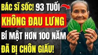 Cách Ngâm Lá Lốt Với Rượu: Bí Quyết 3 Đời Chữa Đau Lưng Khiến Bác Sĩ Cũng Phải Sốc!