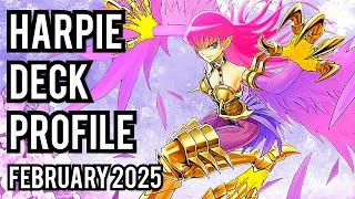 BEST! Harpie Lady Deck Profile! FEBRUARY 2025!