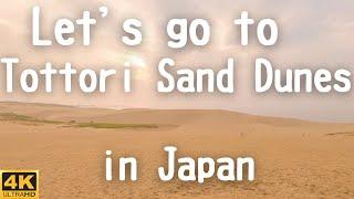 【Superb view】One of the best sand dunes in Japan, Tottori Sand Dunes