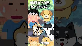 一晩で5匹になった我が家の犬 【 ほっこり ほのぼの 感動する話 涙活  実話 】 #2ちゃんねる #2ch #2ch面白いスレ #猫 #犬 #Shorts