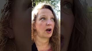 What Is True Forgiveness? (A Course in Miracles)  #acim #acourseinmiracles #spiritualawakening #love