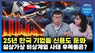 S&P 한국 기업들 신용도 둔화 가능성 높아…. 비상계엄 사태 후폭풍은?┃부동산, 아파트