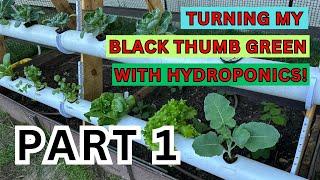 Turning My Black Thumb Green w/ Hydroponics - part 1