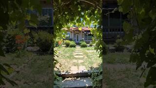  포도밭그집 2억대전원주택매매 천안전원주택매매 손님보러왔어요