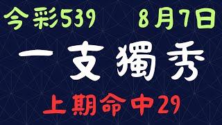 今彩539｜一支獨秀｜少年狼539｜8月7日｜上期命中29