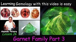 L 26 E | Garnet Family Part 3 | Exploring the Dazzling Diversity of Garnet Family Varieties