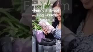 Funny & Sweet Dog Kisses Furmom On The  Lips