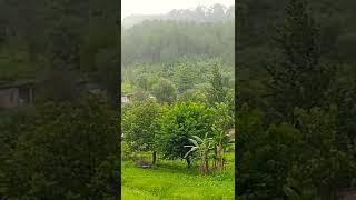 #rainy season #ARSLAN jani