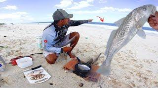 PESCARIA E PEIXE FRITO NA BEIRA DA PRAIA - Comi até a ISCA.