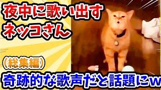 【2ch動物スレ総集編】夜中に歌い出す猫さん → 奇跡的な歌声だと話題にwww