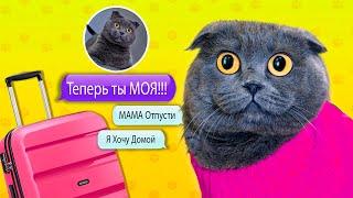 ПЕРЕПИСКА С ФЕЙКОМ | ЗЛАЯ МАМА УКРАЛА КОТИКА ! ПИТОМЦЫ ПРОТИВ!