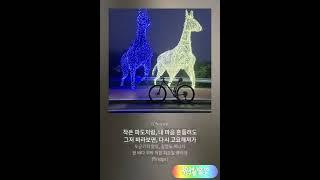 마음의 바다 (감사일기)