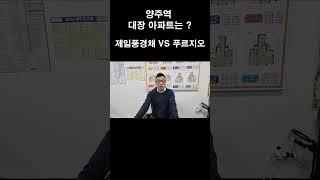 양주역 대장 아파트는 누가 될까 ? / 제일풍경채 VS 푸르지오