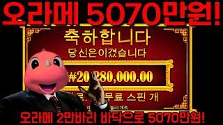 빨간용가리 오라메 2만바닥 진입으로 5070만원!