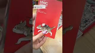 Unboxing set màu đắt nhất tại Tanuki 