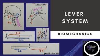 LEVER SYSTEM PART 1 (basic concepts of biomechanics) Physiotherapy class