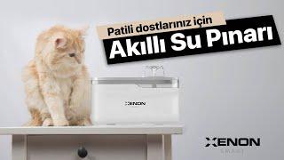 Akıllı Su Pınarı