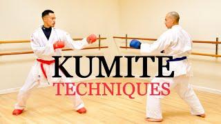 10 ULTIMATE KUMITE TECHNIQUES 