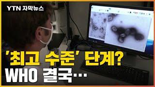 [자막뉴스] 비상사태 선언? '원숭이두창' 긴급회의 소집된 이유 / YTN