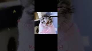 from tiktok ngl #fypage