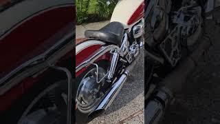 Long Weekends Are Meant For Riding | Suzuki Marauder Walkaround #shorts #motorcycle #motovlog