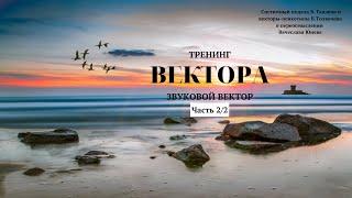 Занятие 12. Звуковой вектор. Часть 2. Тренинг  Вектора. Проект Вячеслава Юнева