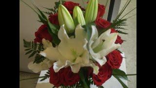 Healing with  beautiful flowers photos    white lily red roses   #Subscribe PLS